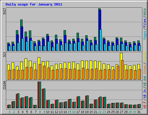 Daily usage for January 2011