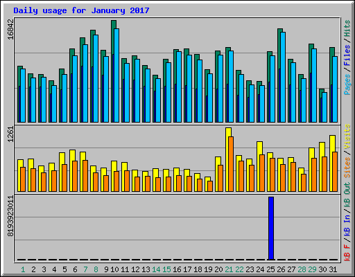 Daily usage for January 2017