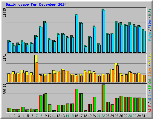 Daily usage for December 2024