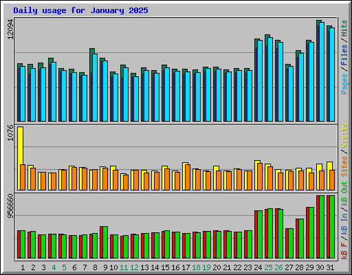 Daily usage for January 2025