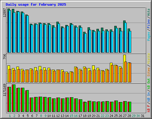 Daily usage for February 2025