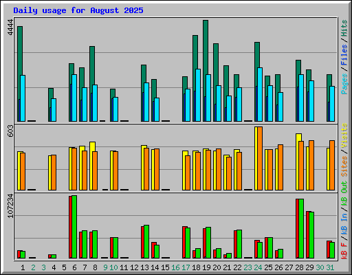 Daily usage for August 2025