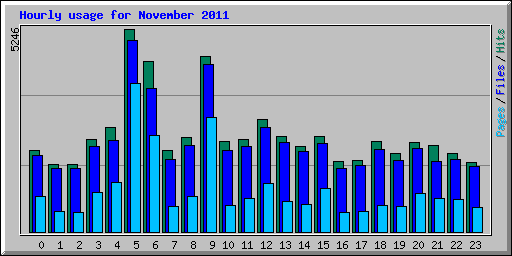 Hourly usage for November 2011
