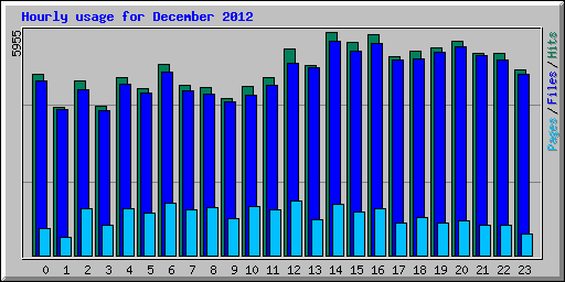 Hourly usage for December 2012