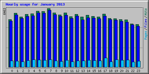 Hourly usage for January 2013