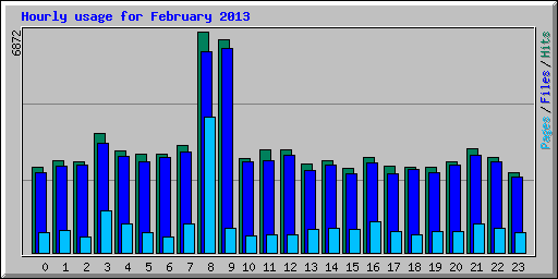 Hourly usage for February 2013