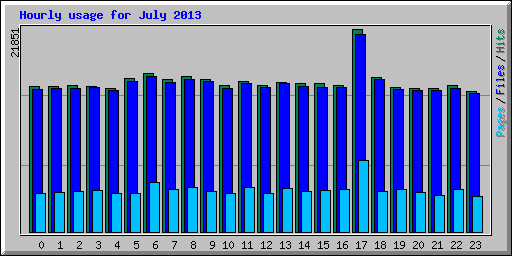 Hourly usage for July 2013