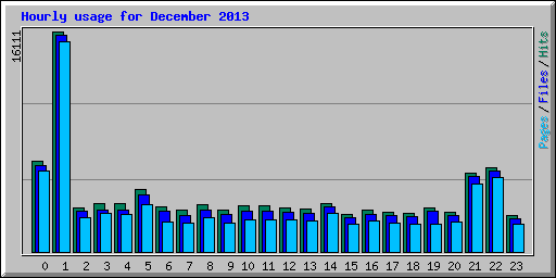 Hourly usage for December 2013