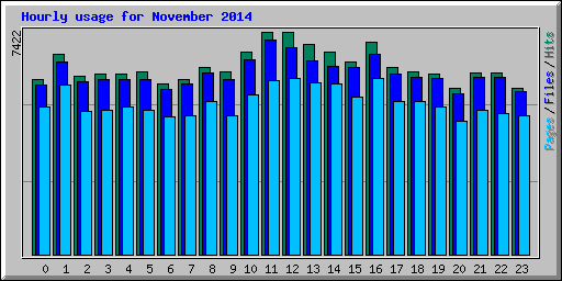 Hourly usage for November 2014