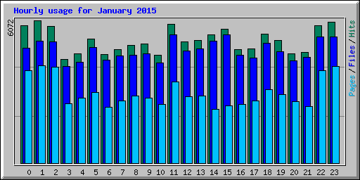 Hourly usage for January 2015