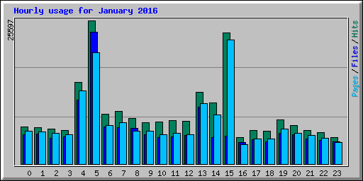 Hourly usage for January 2016