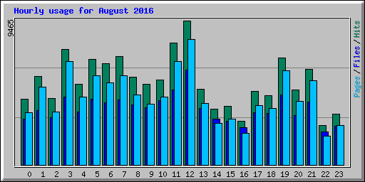 Hourly usage for August 2016