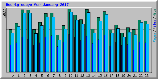 Hourly usage for January 2017