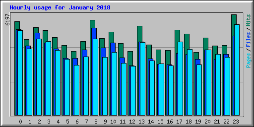 Hourly usage for January 2018