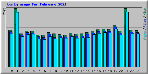 Hourly usage for February 2021