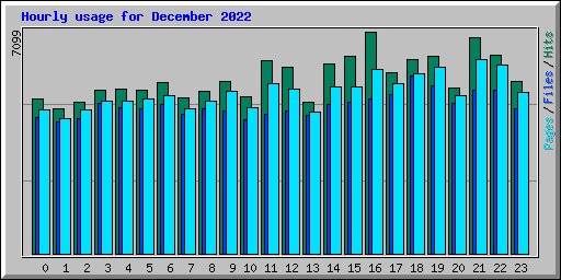 Hourly usage for December 2022