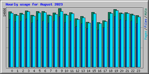 Hourly usage for August 2023