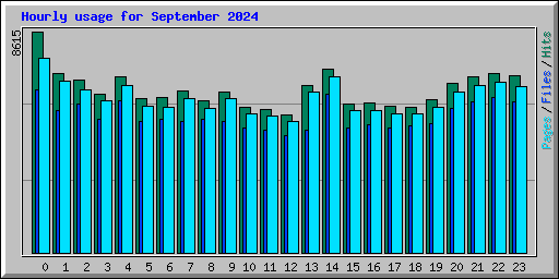 Hourly usage for September 2024