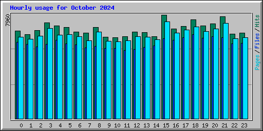 Hourly usage for October 2024