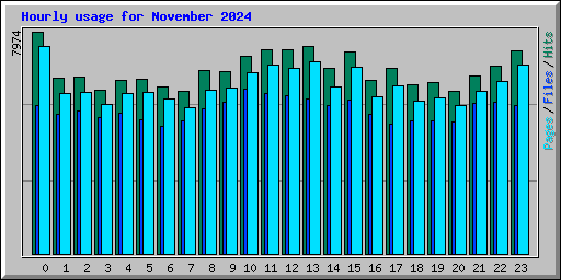 Hourly usage for November 2024