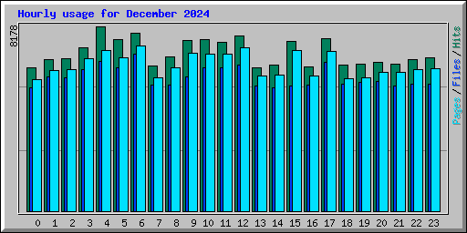 Hourly usage for December 2024