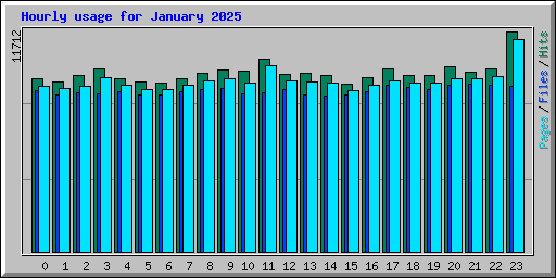 Hourly usage for January 2025