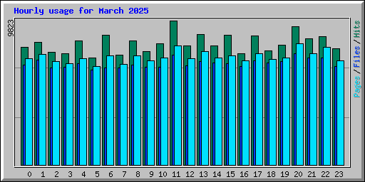 Hourly usage for March 2025
