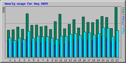 Hourly usage for May 2025