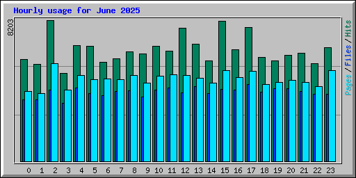 Hourly usage for June 2025