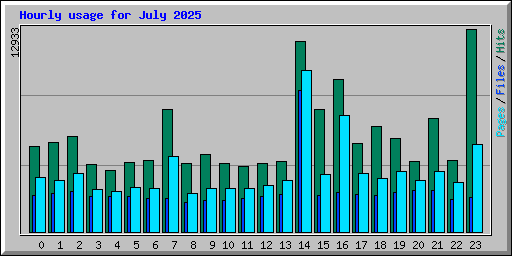 Hourly usage for July 2025