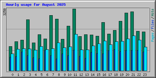 Hourly usage for August 2025