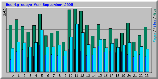 Hourly usage for September 2025