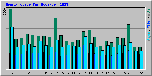 Hourly usage for November 2025
