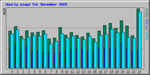 Hourly usage for December 2025