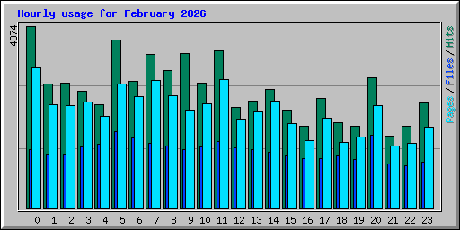 Hourly usage for February 2026