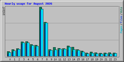 Hourly usage for August 2026
